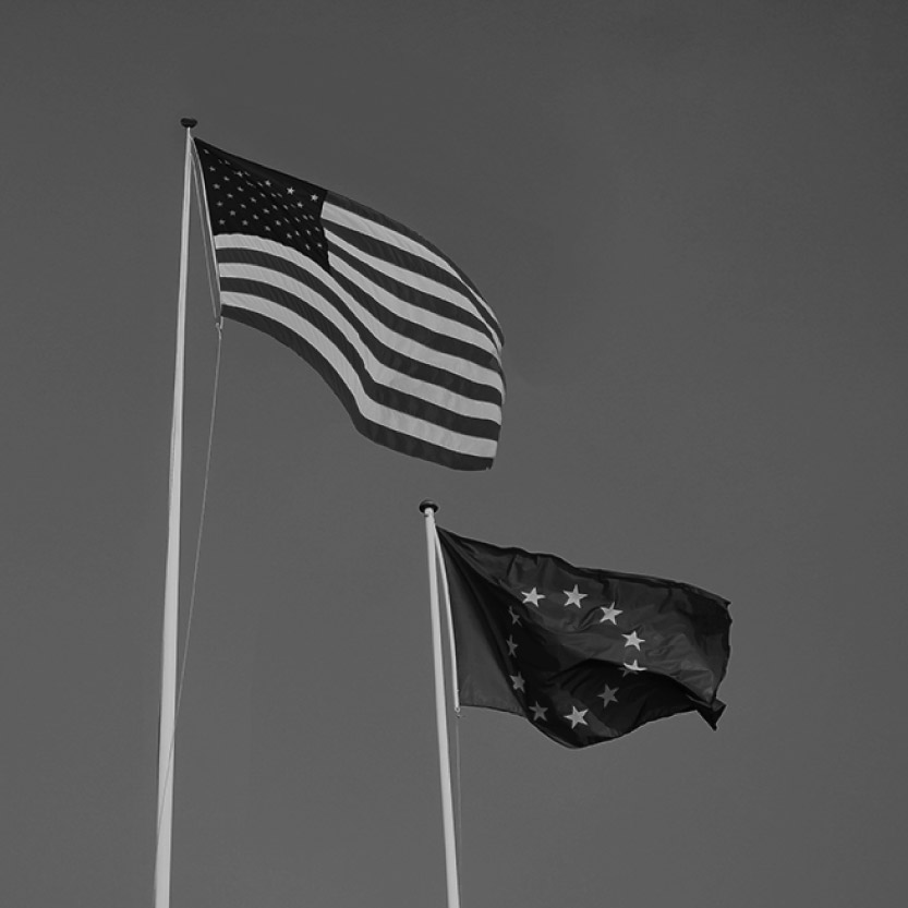250421 EU US entities_Website