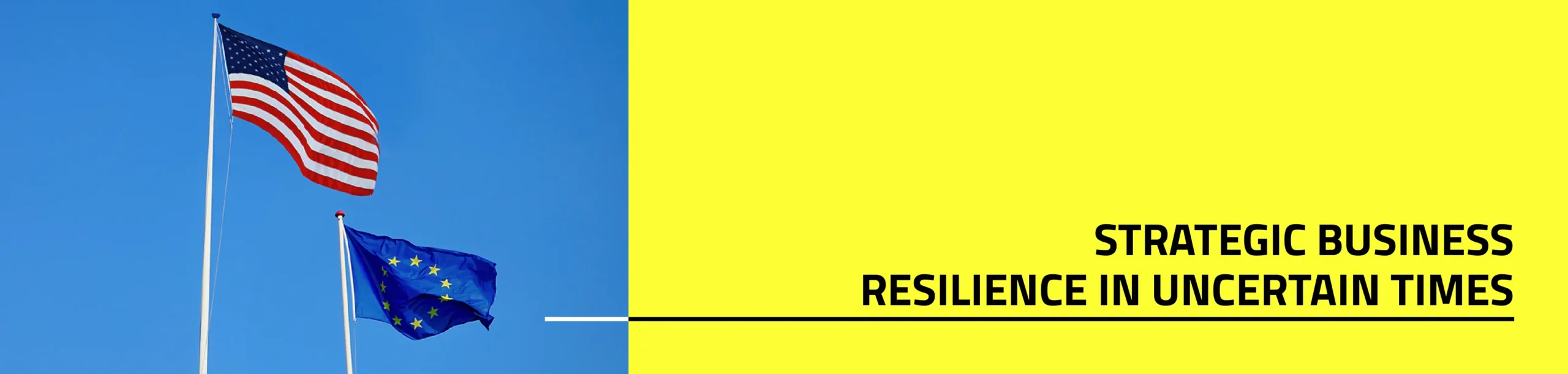 Strategic Business Resilience in Uncertain Times
