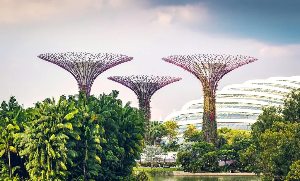 The updated Singapore MAS family offices schemes