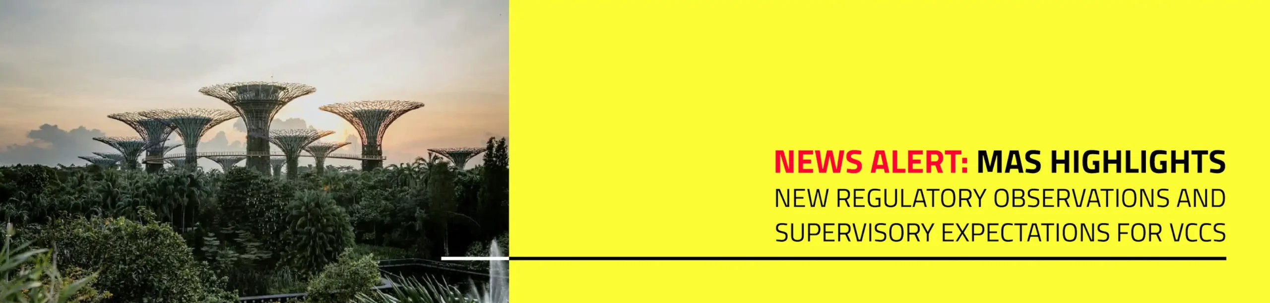 MAS Circular - News Website