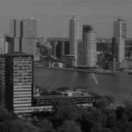 Liquidating A Dutch Entity In 2026 - Trustmoore