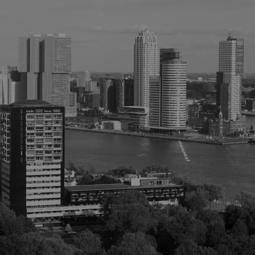 Liquidating A Dutch Entity In 2026 - Trustmoore